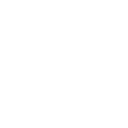 Mid Level